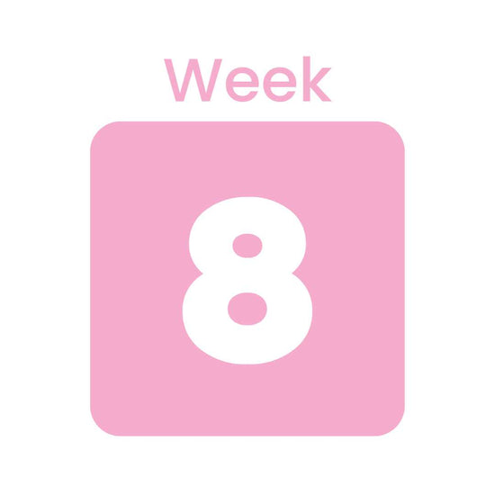 Week 8 of natural lash conditioning journey, continue use for best results